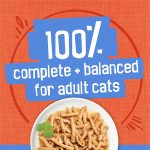 Friskies Shreds Chicken & Salmon Dinner in Gravy Cat Can Food 156g 02