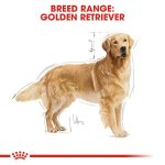 Royal Canin Golden Retriever Adult Dog Dry Food 12kg 04