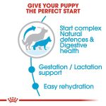 Royal Canin Maxi Starter For Mother & Baby Dog 15 kg 03