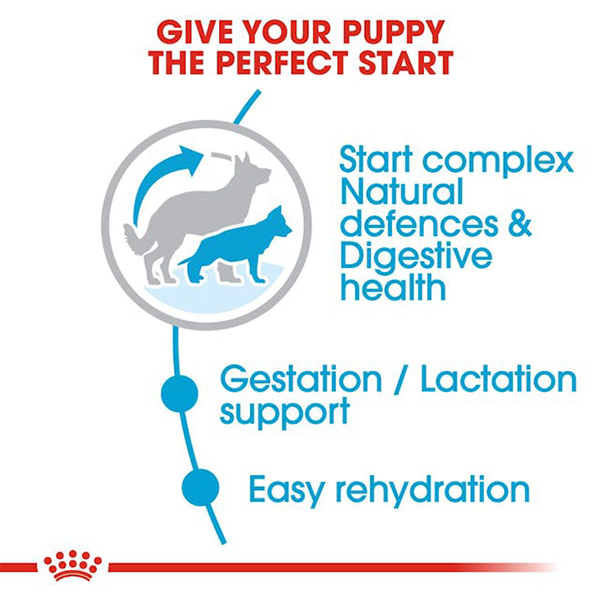 Royal Canin Maxi Starter For Mother & Baby Dog 15 kg 03