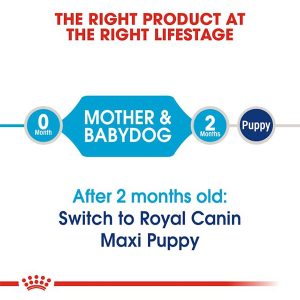 Royal Canin Maxi Starter For Mother & Baby Dog 15 kg 05