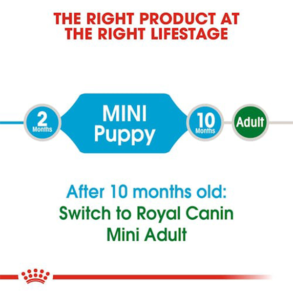 Royal Canin Mini Starter Mother & Babydog Dry Food 4kg 03