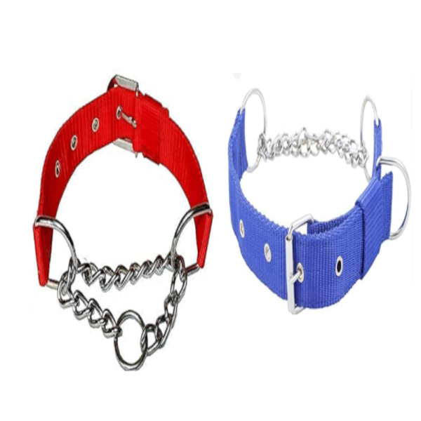 dog collar