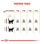 Royal Canin Hair & Skin Care Adult Cat Dry Food 03