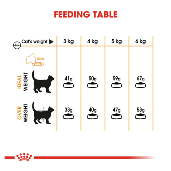 Royal Canin Hair & Skin Care Adult Cat Dry Food 03