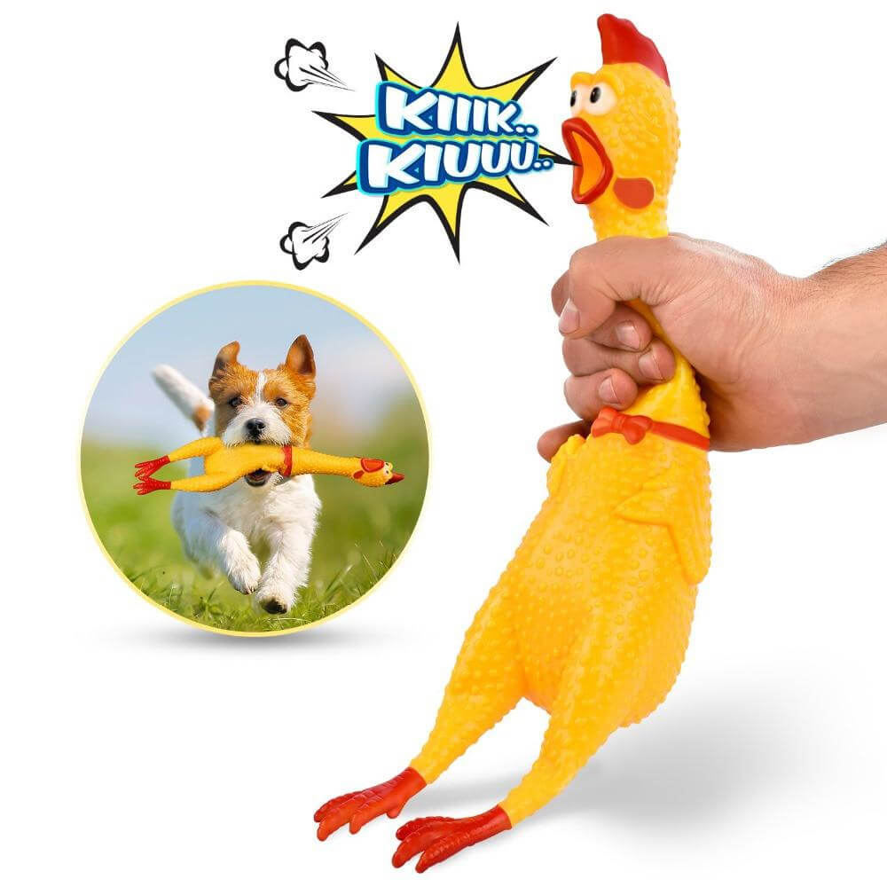 Funny Vent Chicken Shrilling Chicken Sound Squeeze Screaming Toy Petco BD