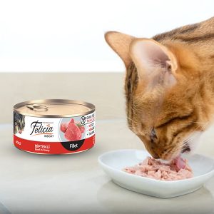 Felicia Cat Can Food Beef Fillet in Gravy 85g 02