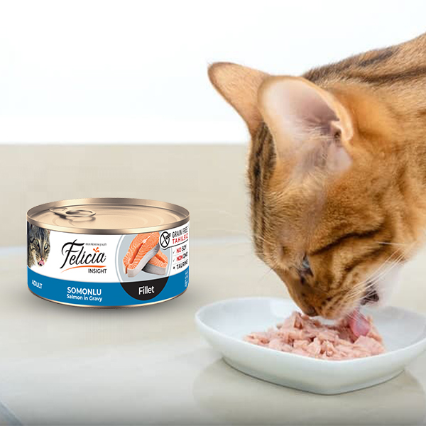 Felicia Cat Can Food Salmon Fillet in Gravy 85g 02