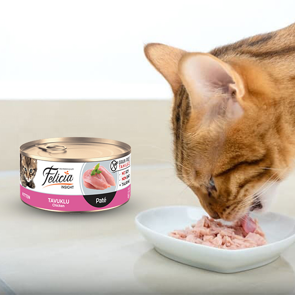 Felicia Kitten Can Food Pate Salmon in Jelly 85g 02