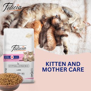 Felicia Kitten and Mother Care Dry Food Lamb 03