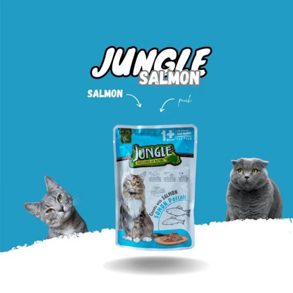 Jungle Cat Pouch Chunks With Salmon 01 petcobd