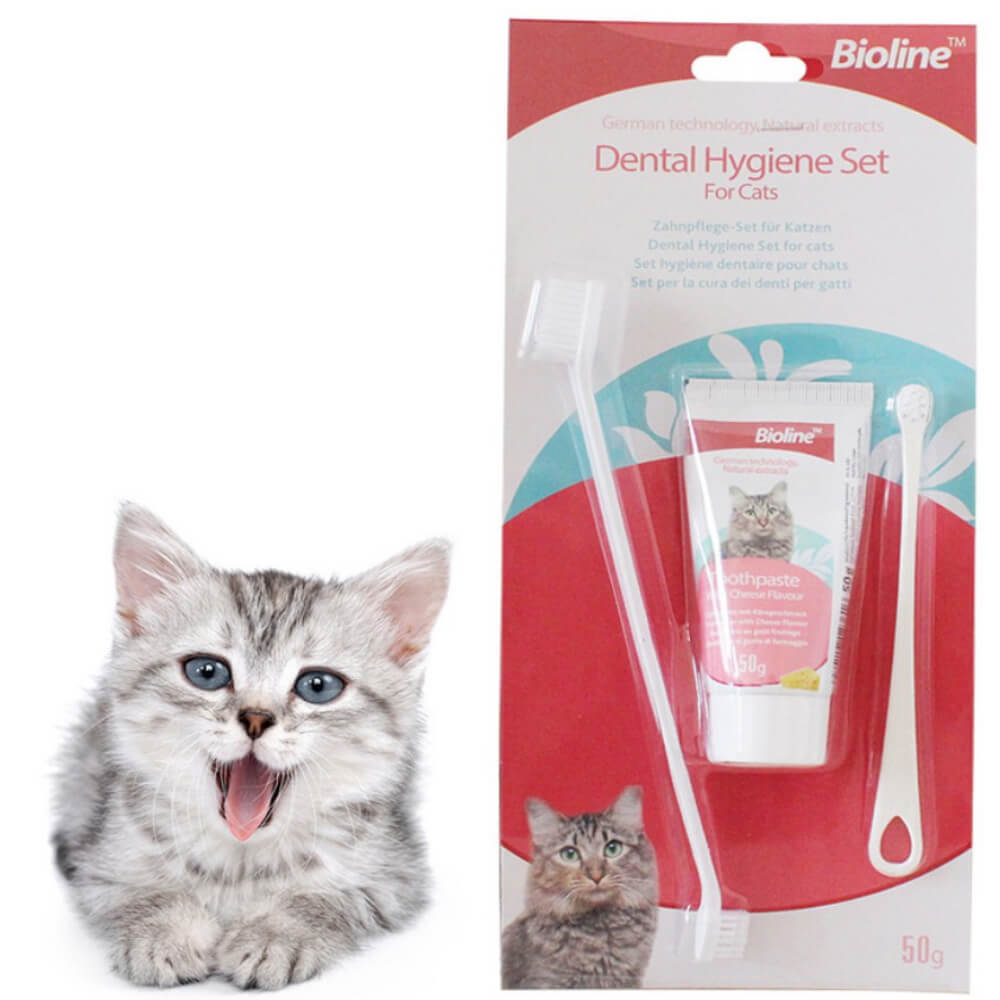 Petco cat clearance toothbrush