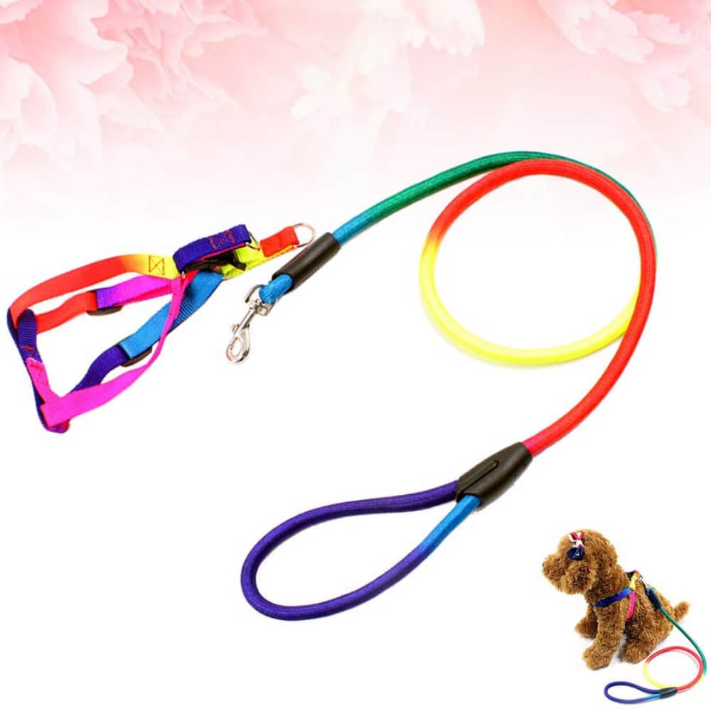 Rainbow Color Dogs Collars Leads Puppy Harness - Petco BD