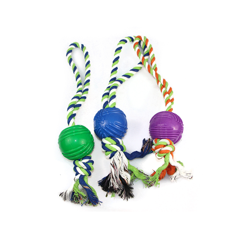 Dog Toy Rope & Ball - Petco BD