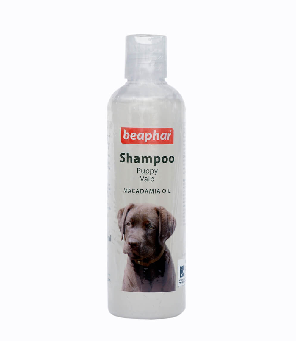 Beaphar Shampoo Puppy Valp Macadamia Oil 250ml - Petco BD