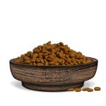 Jungle Adult Cat Dry Food Salmon 02 petcobd