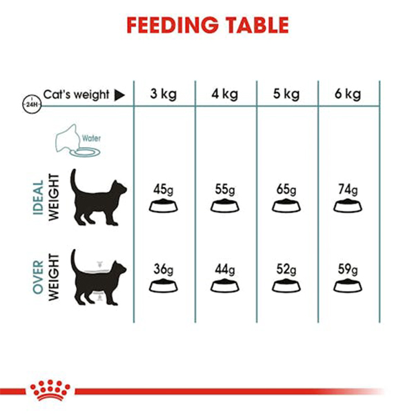 Royal Canin Hairball Care Adult Cat Dry Food 03