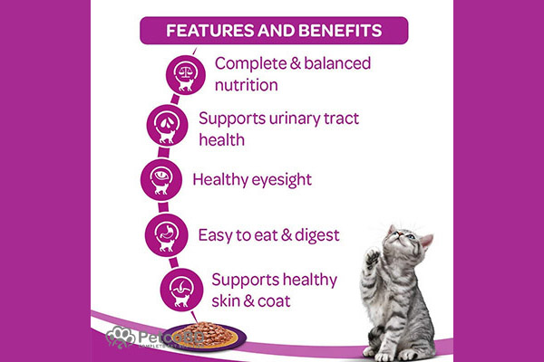 Whiskas urinary outlet tract cat food