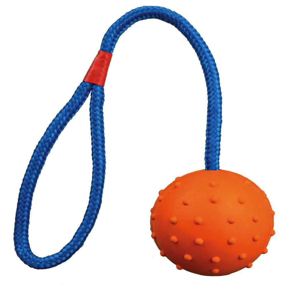 TPR Pet Durable Natural Rubber Ball on Rope Throw & Fetch Dog Toy ...