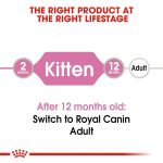 Royal Canin Kitten Pouch in Jelly 85gm 04