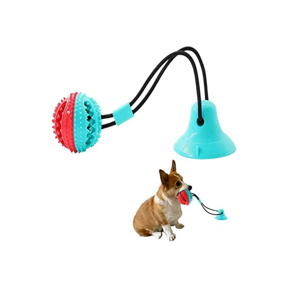 Tug Of Floor Dog Toy Petco BD