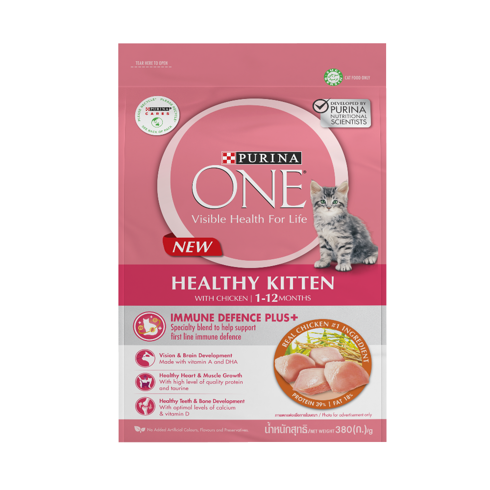 PURINA ONE Healthy Kitten With Chicken Dry Cat Food - Petco BD