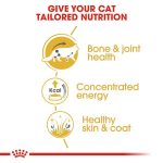 Royal Canin Maine Coon Adult Cat Pouch 85g 04