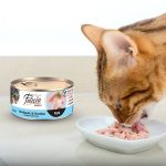 Felicia Cat Can Food Pate Chicken With Tuna 85g 02