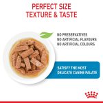 Royal Canin Maxi Puppy (2 15 Months) Pouch Chunks in Gravy 140g 03