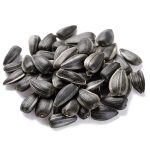 Versele Laga Bird Food Black Sunflower Seeds 1kg 02