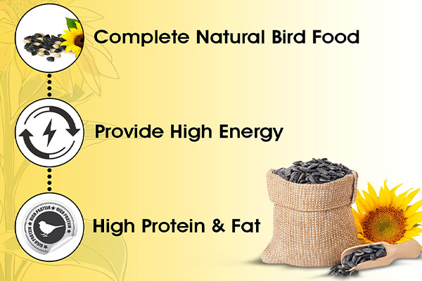 Versele Laga Bird Food Black Sunflower Seeds 1kg 04