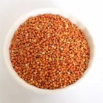 Versele Laga Bird Food Red Millet 1kg 02