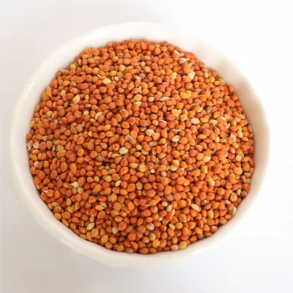 Versele Laga Bird Food Red Millet 1kg 02