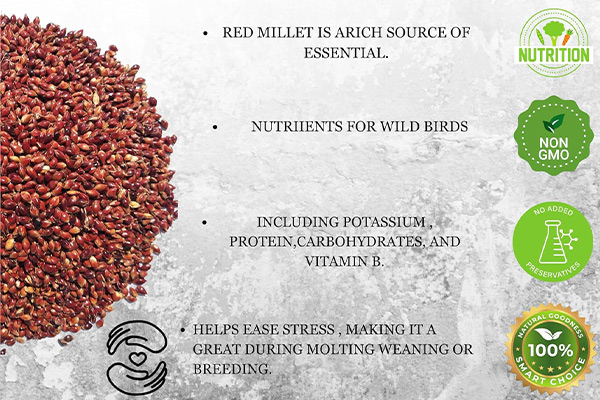 Versele Laga Bird Food Red Millet 1kg 04