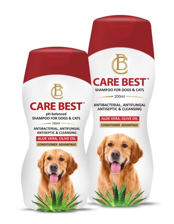 Best shampoo for a golden retriever best sale