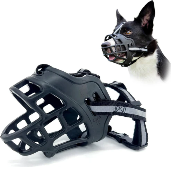 Dog muzzle petco best sale