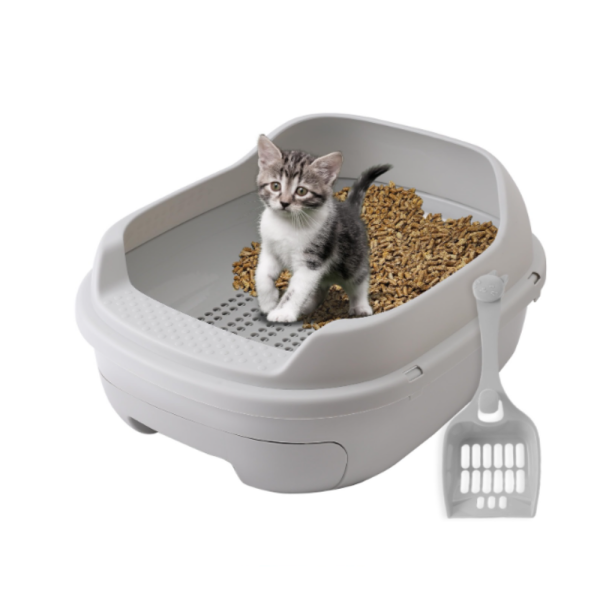 lozalo 11111111111111