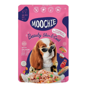 Moochie dog 1
