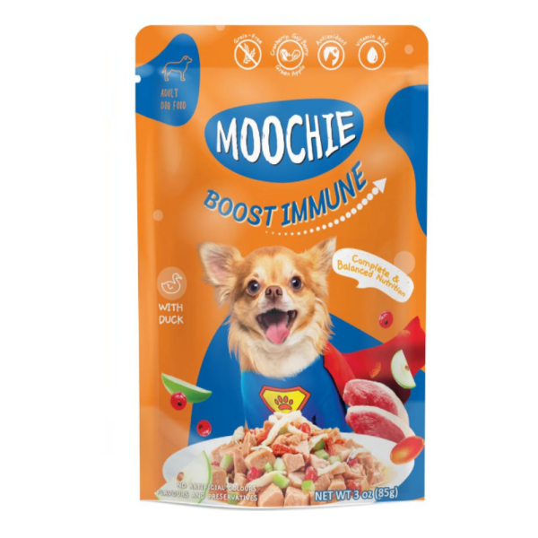 Moochie dog 6