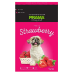 Prama 4