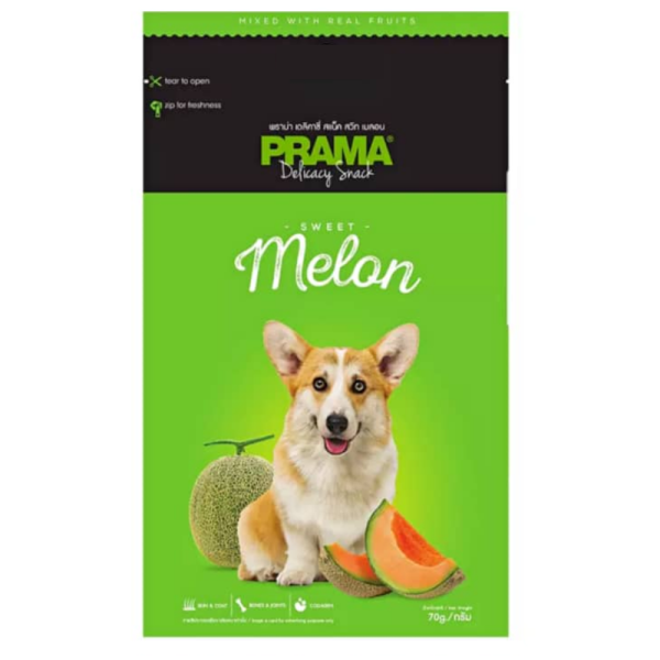 Prama 6